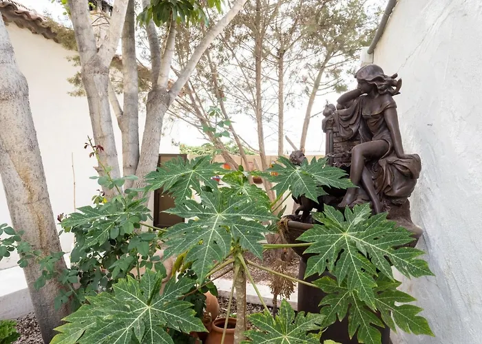 Casa La Rueda With Pool 别墅